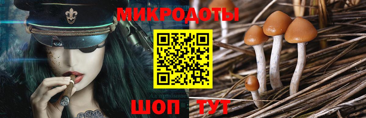 Псилоцибиновые грибы мухоморы Севастополь
